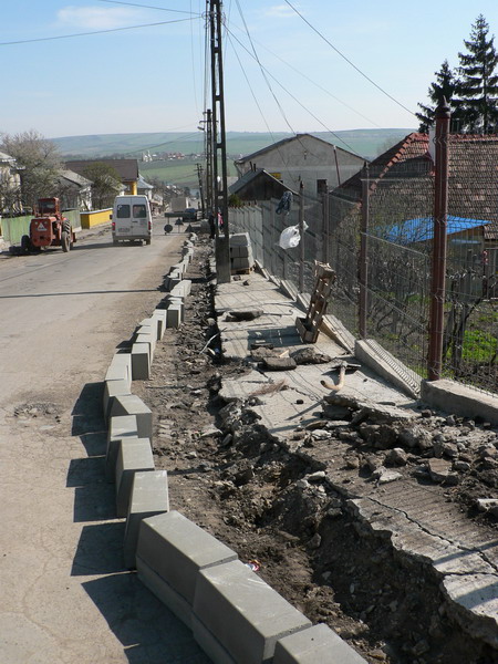 2 Plesesti Gane montat borduri 1.jpg